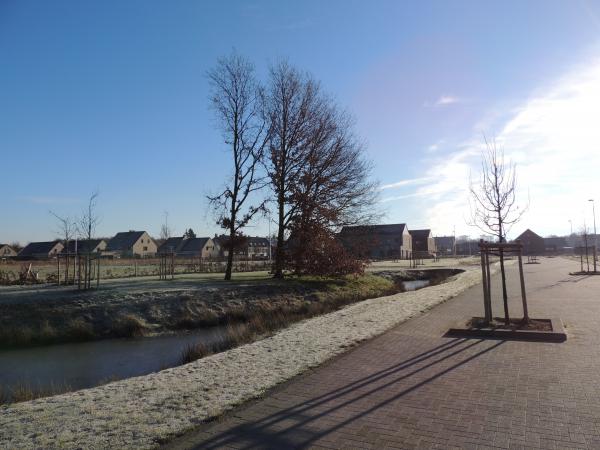 Verkaveling Rodenbach te Diepenbeek