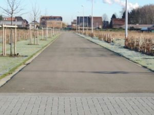 Verkaveling Rodenbach te Diepenbeek