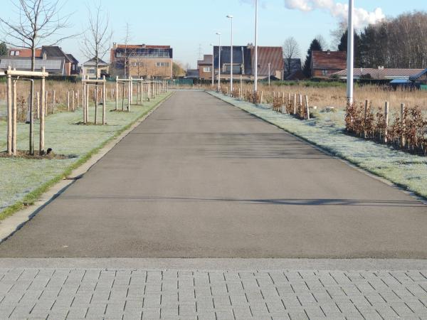 Verkaveling Rodenbach te Diepenbeek