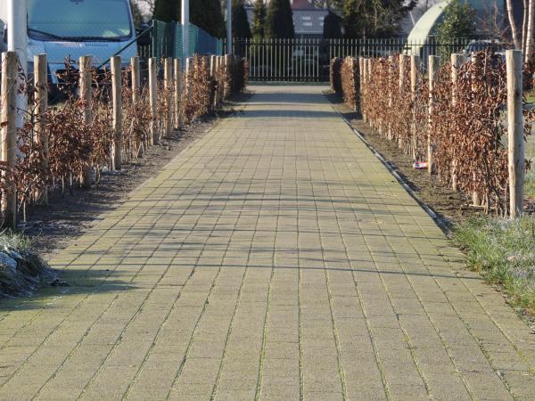 Verkaveling Rodenbach te Diepenbeek